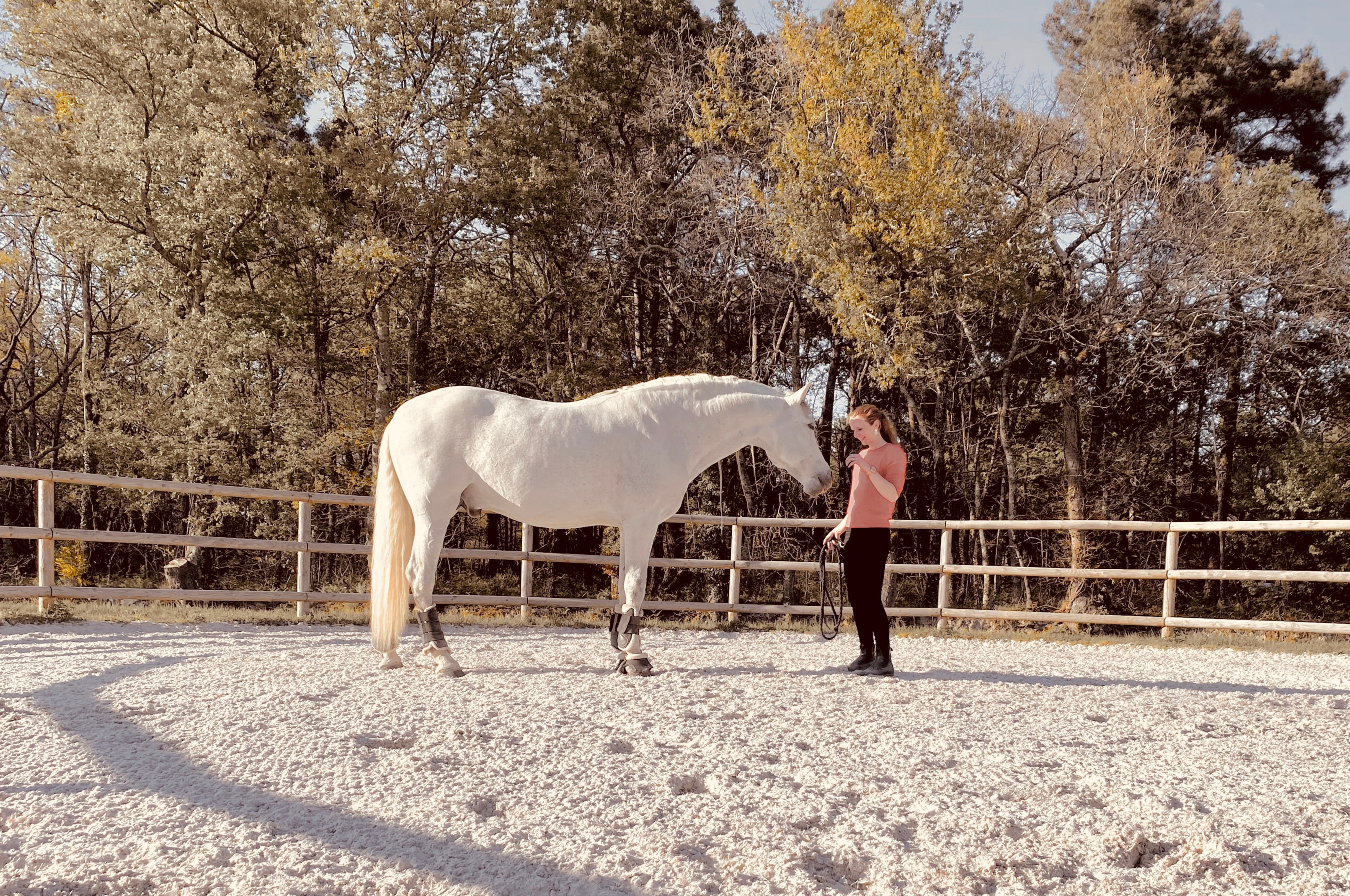 Jeanne Foy et son cheval